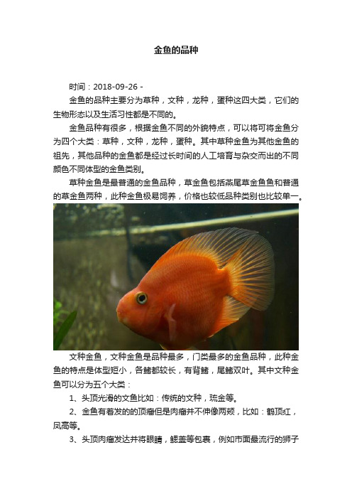 金鱼的品种