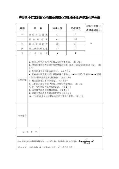 9.职业卫生安全生产标准化评分表(1)(1)(1)