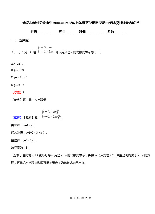 武汉市新洲初级中学2018-2019学年七年级下学期数学期中考试模拟试卷含解析