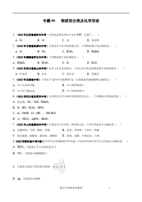 初中化学 物质的分类及化学用语专题试题(原卷版)