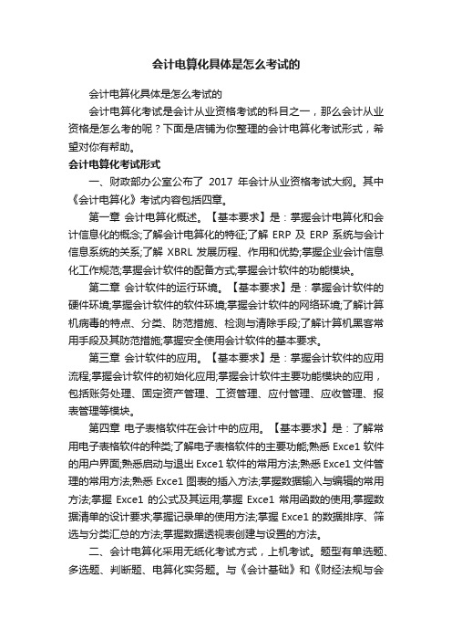 会计电算化具体是怎么考试的