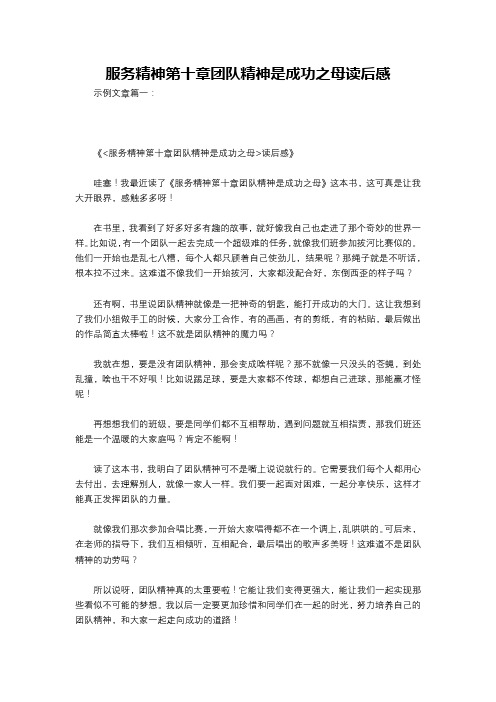 服务精神第十章团队精神是成功之母读后感