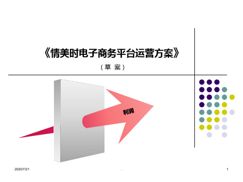 品牌电商运营方案PPT课件