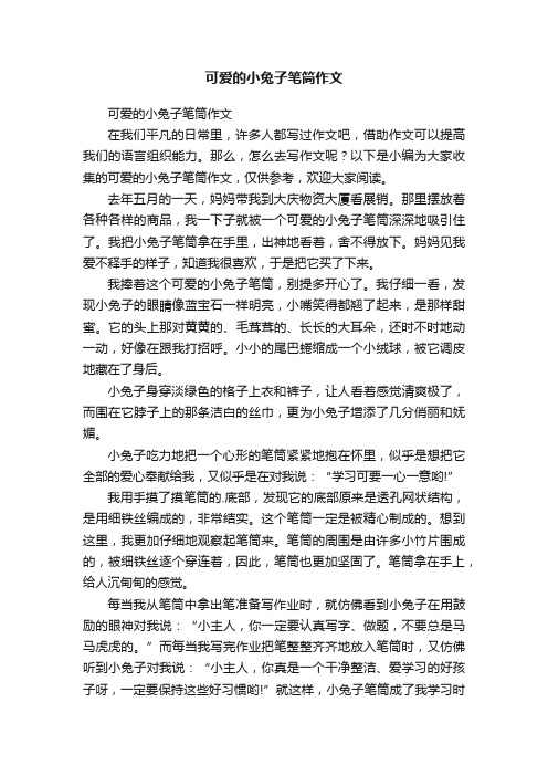 可爱的小兔子笔筒作文