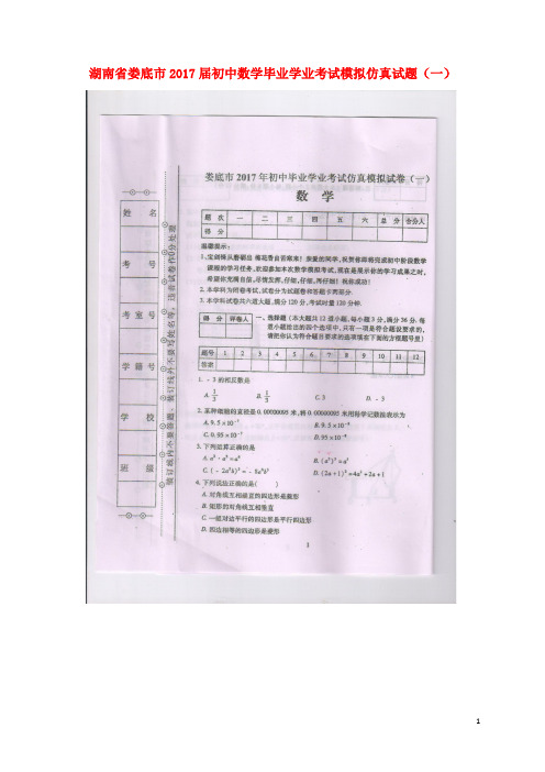 湖南省娄底市初中数学毕业学业考试模拟仿真试题(一)(扫描版)