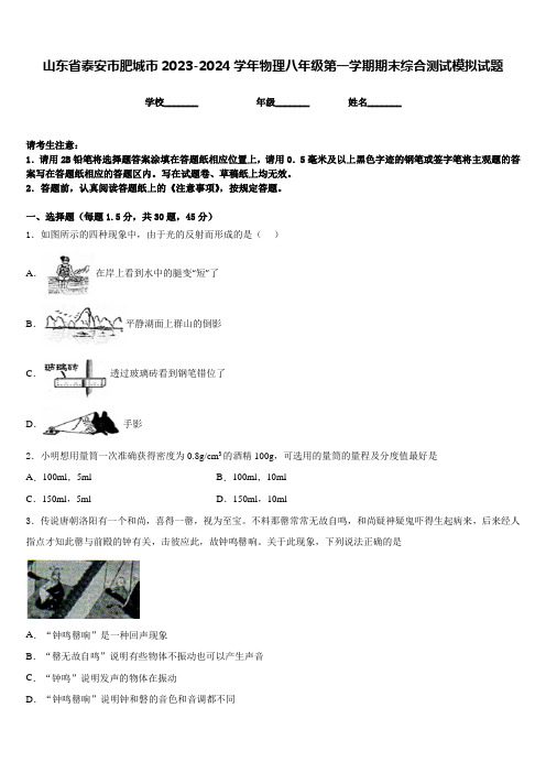 山东省泰安市肥城市2023-2024学年物理八年级第一学期期末综合测试模拟试题含答案