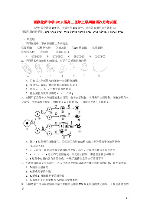 西藏拉萨中学2019届高三理综上学期第四次月考试题