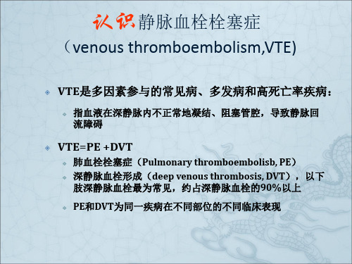 VTE防治和ACCP9th规范解读