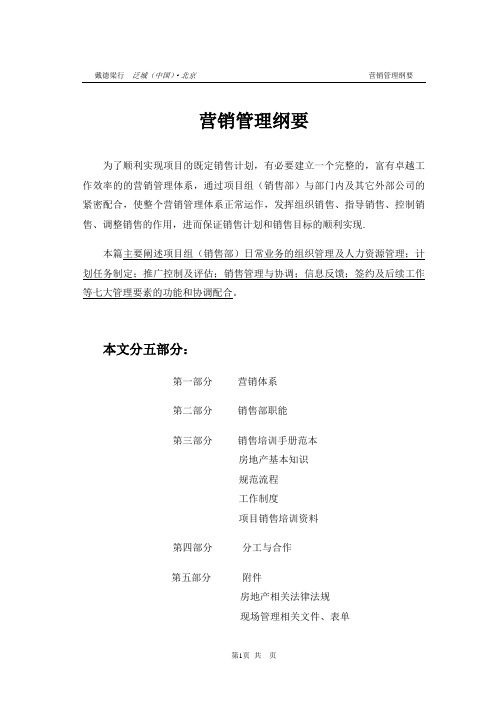 戴德梁行—营销管理全案资料