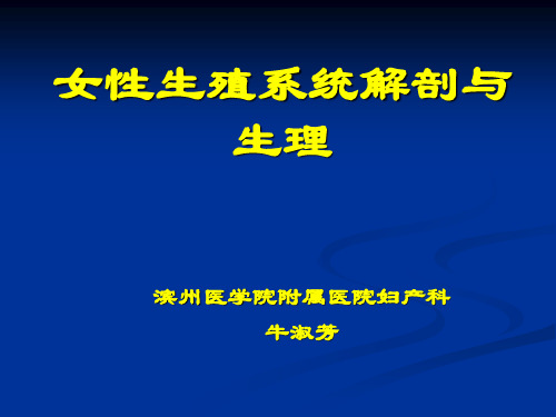 女性生殖系统解剖与生理(课件)