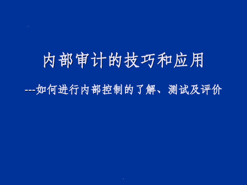 如何进行内部控制的了解、测试及评价