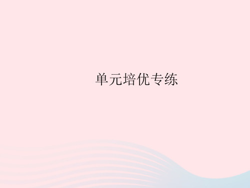 2023八年级道德与法治上册第四单元维护国家利益培优专练作业课件新人教版