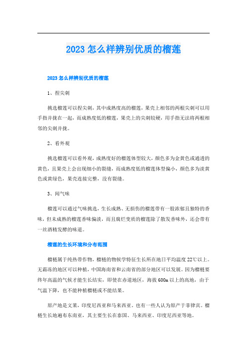 2023怎么样辨别优质的榴莲