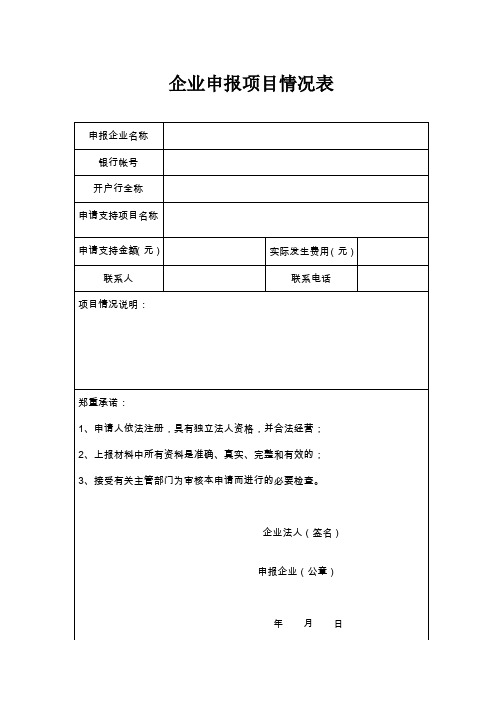 企业申报项目情况表【模板】