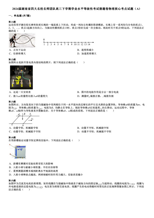 2024届湖南省四大名校名师团队高三下学期学业水平等级性考试猜题卷物理核心考点试题(A)