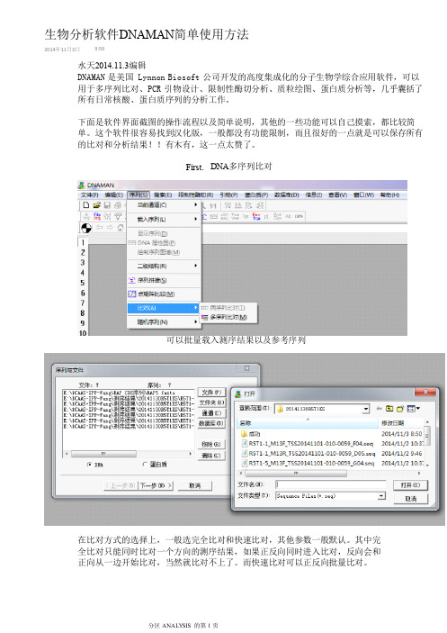 序列分析DNAMAN极简使用方法