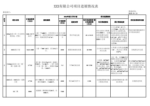 项目进展情况表项目进度表