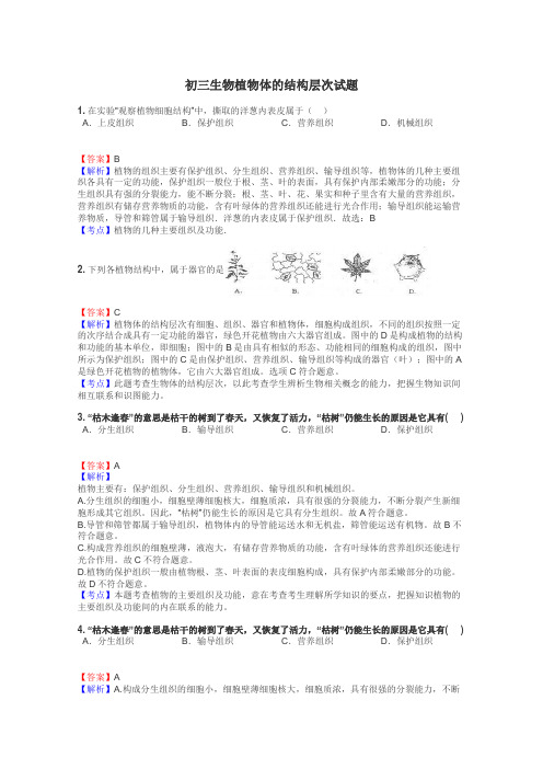 初三生物植物体的结构层次试题
