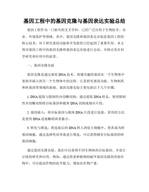 基因工程中的基因克隆与基因表达实验总结