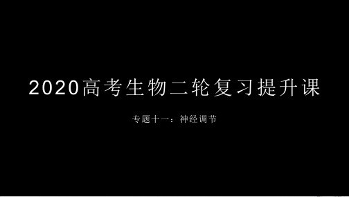 【高考】生物二轮复习提升课一神经调节ppt课件