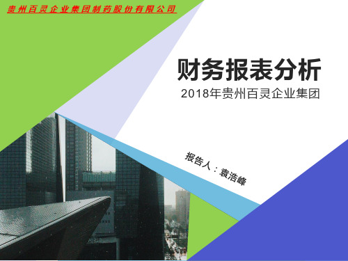 贵州百灵2018年财务报表分析