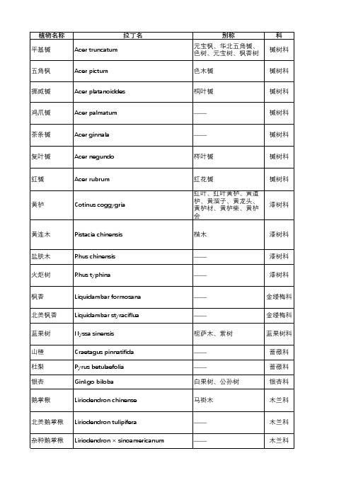 常见秋色叶乔木树种名录