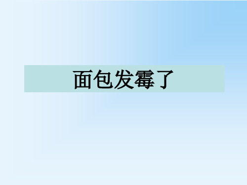 教科版四年级科学下册3食物5面包发霉了课件2