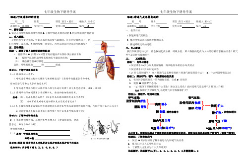 呼吸道和肺的功能及肺通气