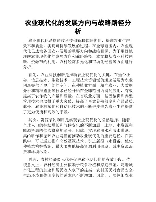 农业现代化的发展方向与战略路径分析