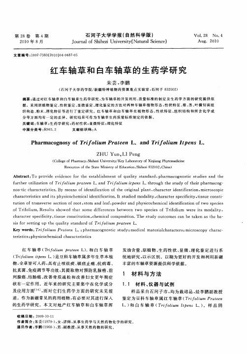 红车轴草和白车轴草的生药学研究