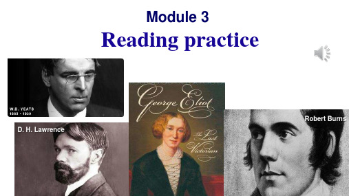 高中英语外研社 选修6 Module 3 Reading Practice课件(共28张)