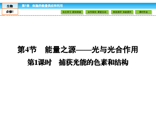 人教版高中生物必修一课件 第五章 细胞的能量供应和利用 5.4《捕获光能的色素和结构》ppt课件