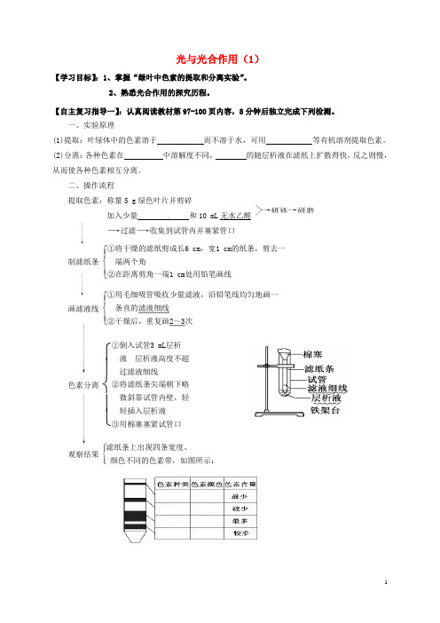 高三生物光合作用复习学案1