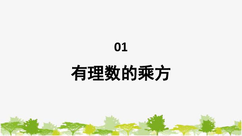 1.11 有理数的乘方 华师大版数学七年级上册课件2