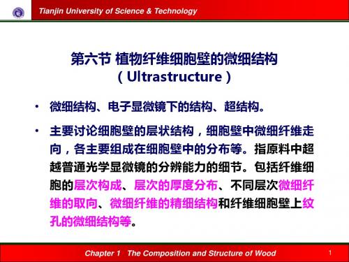 六节植物纤维细胞壁的微细结构ppt课件-文档资料