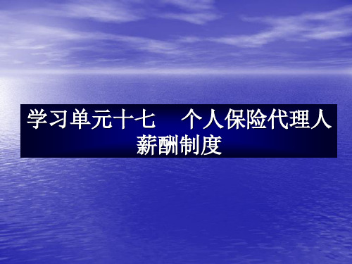 个人保险代理人薪酬制度