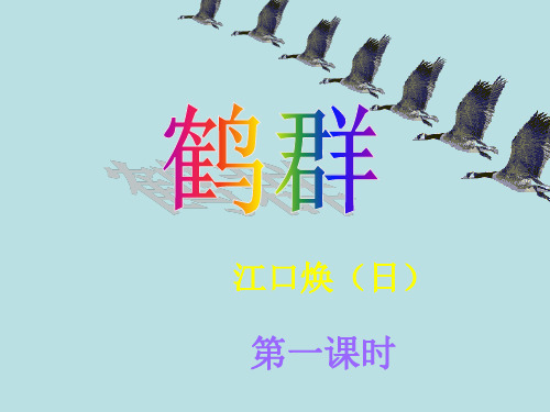 4《鹤群》课件(完整)