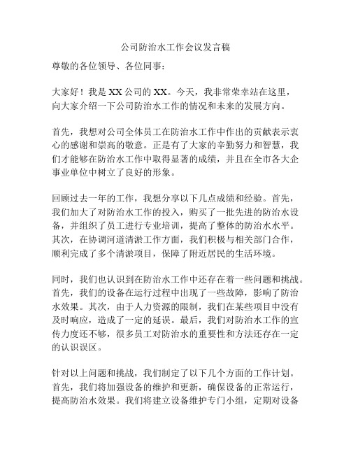 公司防治水工作会议发言稿