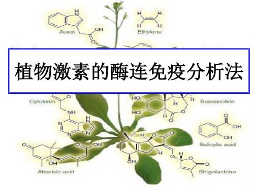 植物激素的测定方法-精品文档