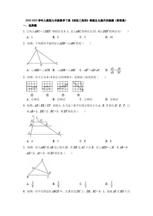 2022-2023学年人教版九年级数学下册《相似三角形》寒假自主提升训练题(附答案)