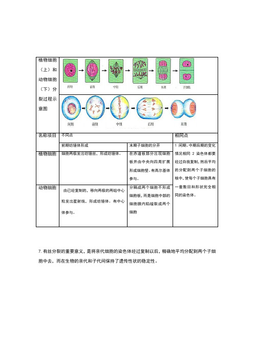 植物细胞和动物细胞分裂示意图