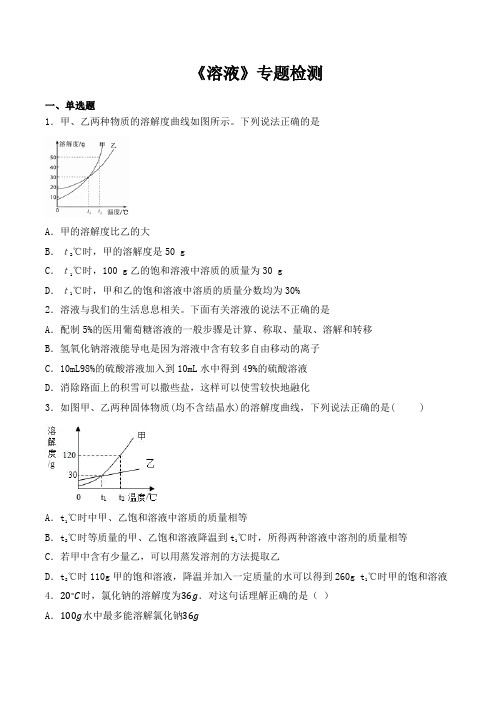 人教版初中化学2020中考复习专题《溶液》专题检测(包含答案)