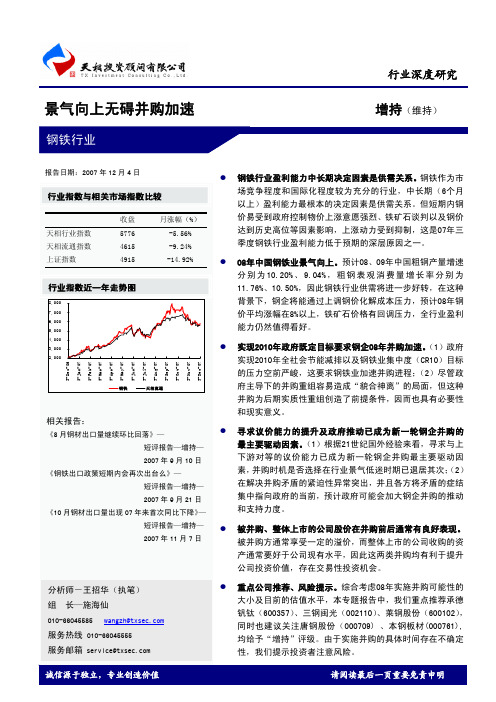 2008钢铁行业深度研究报告