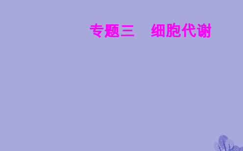 高考生物专题三细胞代谢考点2酶在代谢中的作用获奖公开课优质课件