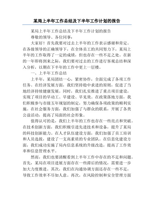 某局上半年工作总结及下半年工作计划的报告