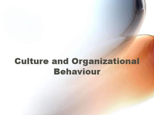 组织行为学 organizational behaviour