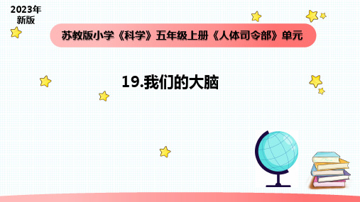 小学科学苏教版五年级上册19《我们的大脑》教学课件(2023秋)