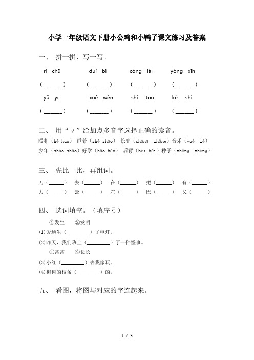 小学一年级语文下册小公鸡和小鸭子课文练习及答案