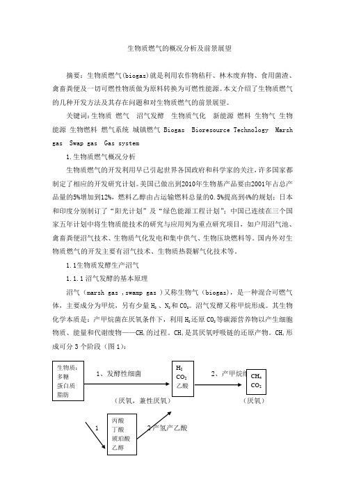 生物质燃气的概况分析及前景展望