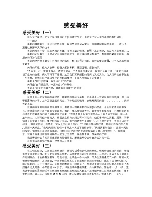 感受美好作文共九篇